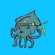 RoadSquid