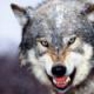hiddenwolf