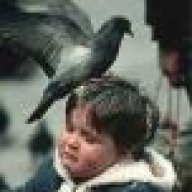 dinildo