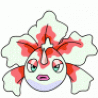 Goldeen