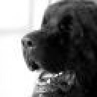 Kibble