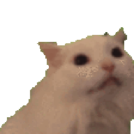 rileyWasTaken