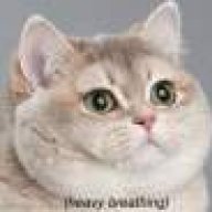BlindKitty