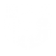 simbios