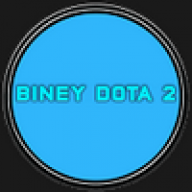 BineyDota