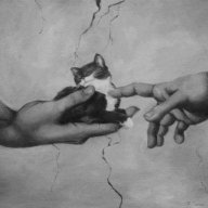 Drakkeen