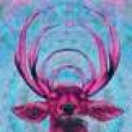 LSDeer