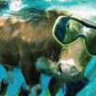 SeaCow