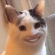vxbe