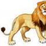 lionstore