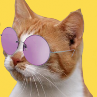 LordKitty