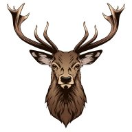 elvenado