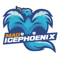 PhoenixLevel