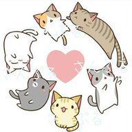 catcafe