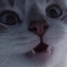 Decoyjkee