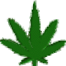 DrDro420