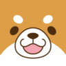 dogehypecom