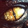 TheDragon86