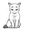nynez