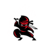 The Ninja