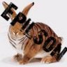 Epilson