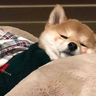 lonelyuu