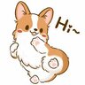 CorgiMS