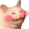 ollieforrest