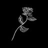 jdn_000