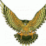 Hawkwynd