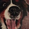 Drewcifur