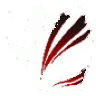 MiNDGAMEZx