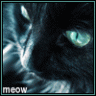 Meowqq