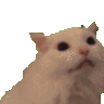 rileyWasTaken