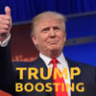TRUMPBOOSTING.COM