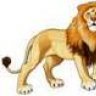 lionstore