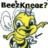 beezkneez2005