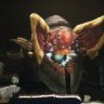 destiny2recovery