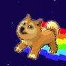 Dogewow