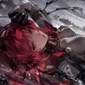 Virusdn061