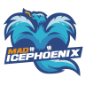 PhoenixLevel