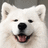 Samoyedic