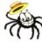 MMOSpiderz