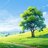 Meadow Escape